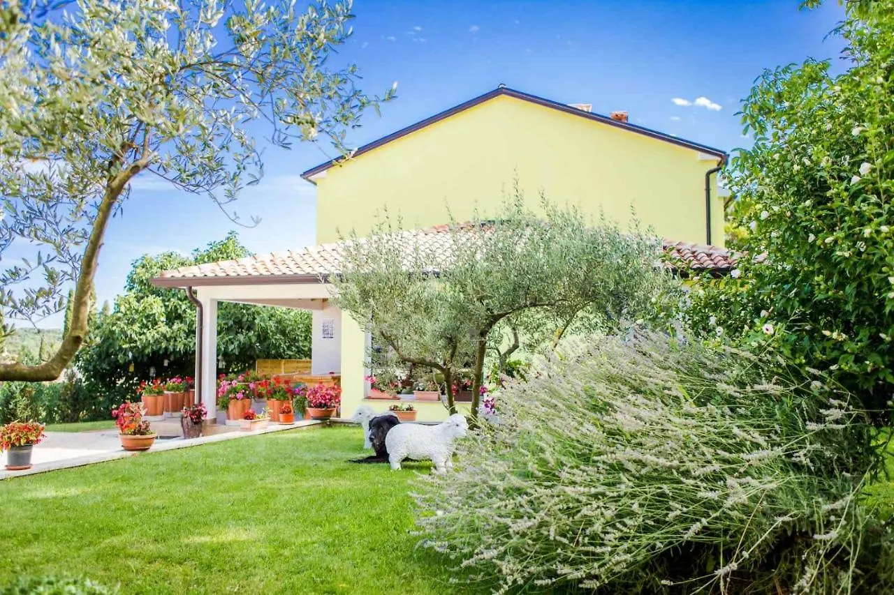 Tatil Evi Holiday House Stara Vrata With A Private Pool Žminj